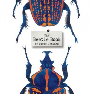 beetle book
