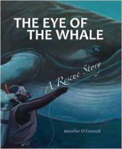 the eye of the whale