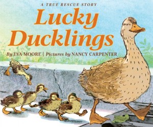 lucky-ducklings